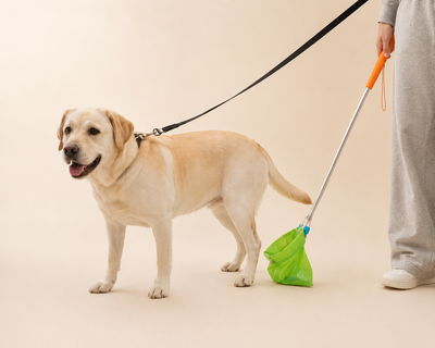 Nova™ No-Touch Dog Poop Catcher