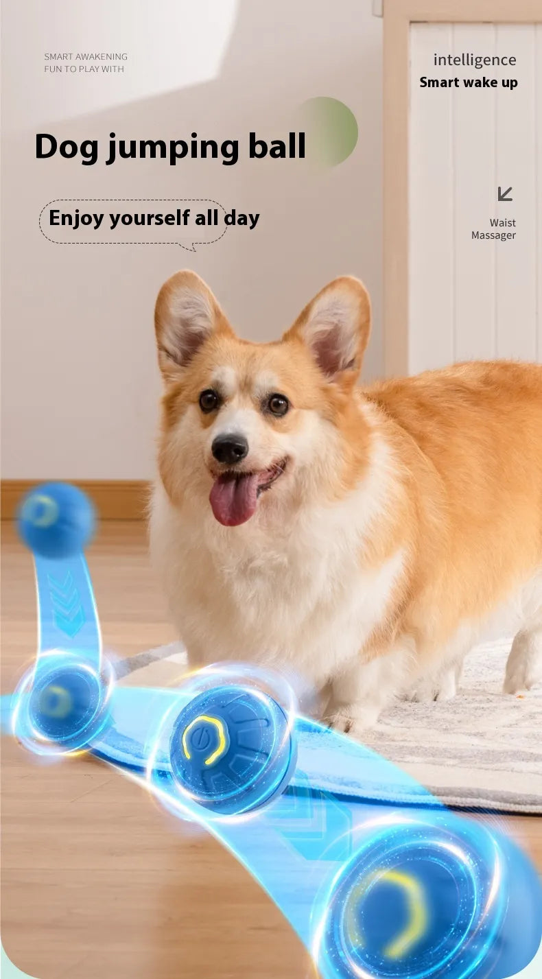 Built For Your Pet's Lifestyle