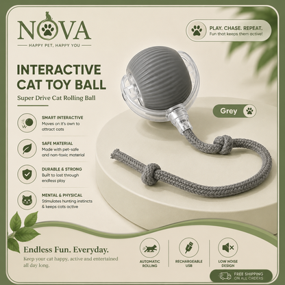 Nova™ Interactive Cat Toy Ball