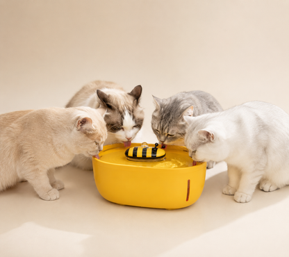 TKS NOVA™ Little Bee Automatic Pet Water Fountain