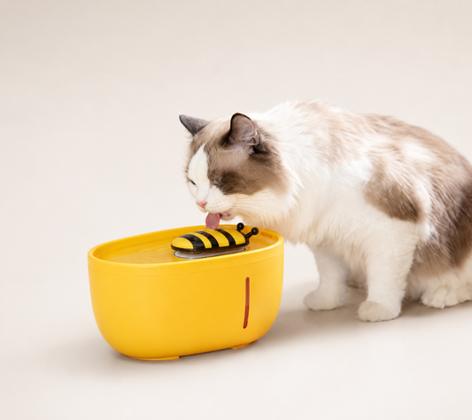 Nova™ Little Bee Automatic Pet Water Fountain